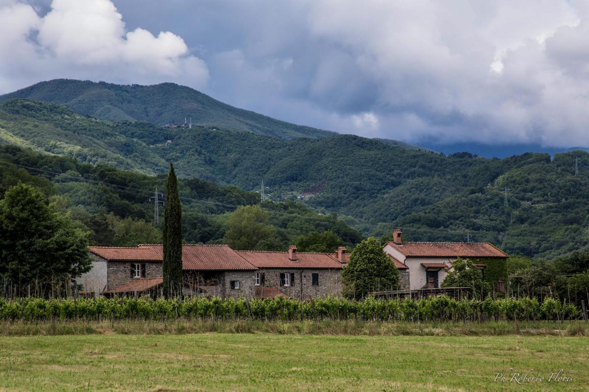 Coriana Apartments & Villas Mulazzo Exterior photo